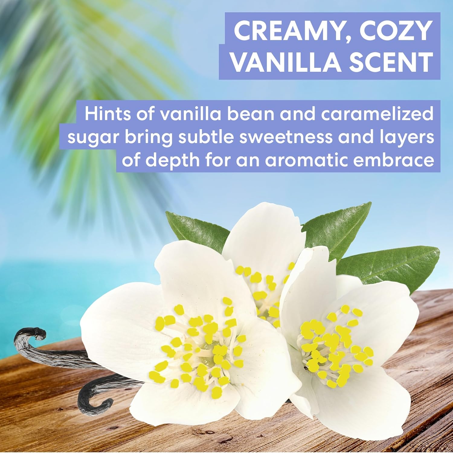 warm vanilla bean and caramelized sugar fragrance profile