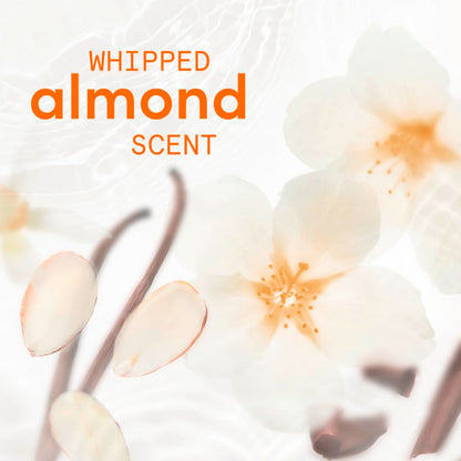 whipped almond scent profile layering creamy almond, warm sandalwood, cocoa, and vanilla