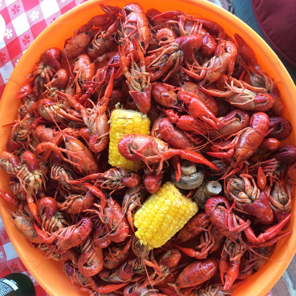 Zatarain's Crawfish, Shrimp & Crab Boil 4.5 lb – Backyard Patio Crawfish Boil Seasoning for Outdoor Cookouts